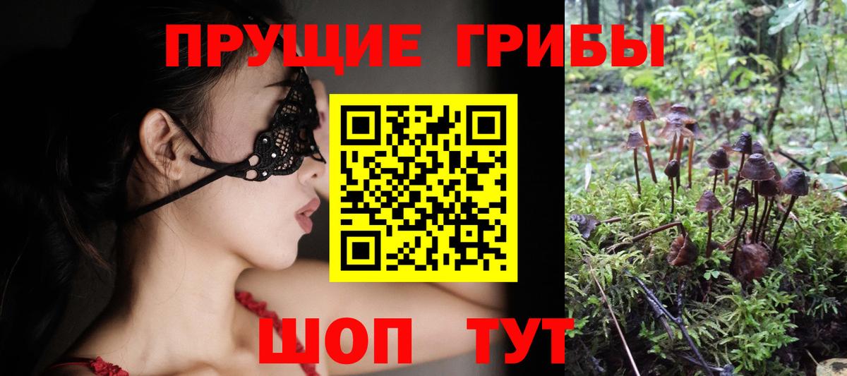 Гусев  Псилоцибиновые грибы Psilocybine cubensis  Вход с VPN  Псилоцибиновые грибы мухоморы 